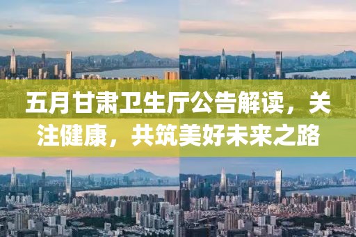 五月甘肅衛(wèi)生廳公告解讀，關(guān)注健康，共筑美好未來之路